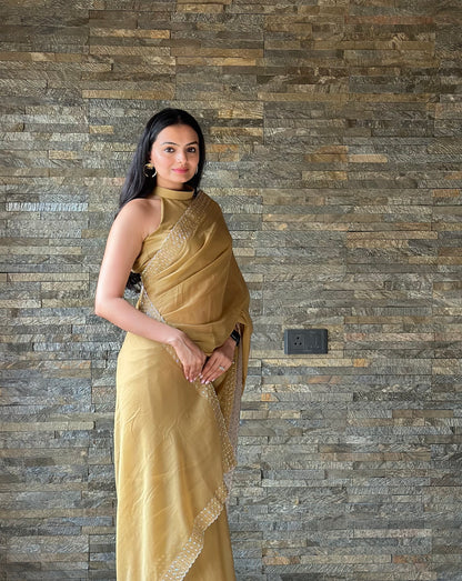 Leelavati Embroidered, Embellished Bollywood Georgette Saree (Cream)