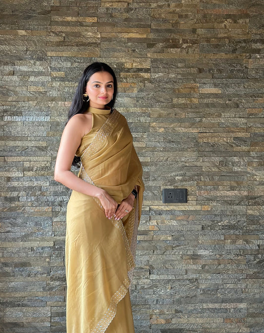 Leelavati Embroidered, Embellished Bollywood Georgette Saree (Cream)